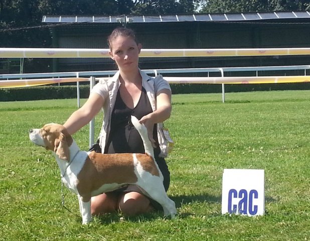 Bratyslawa - Iskra - CAC,Res.-CACIB